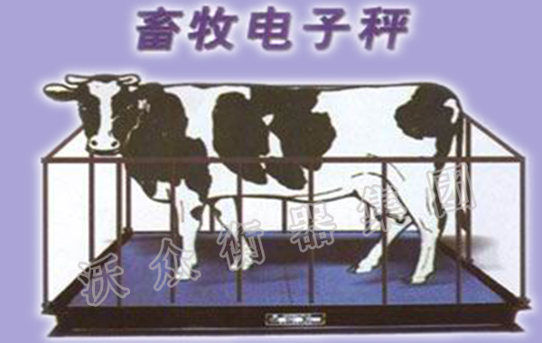 �����ӵĲ�ͬ���