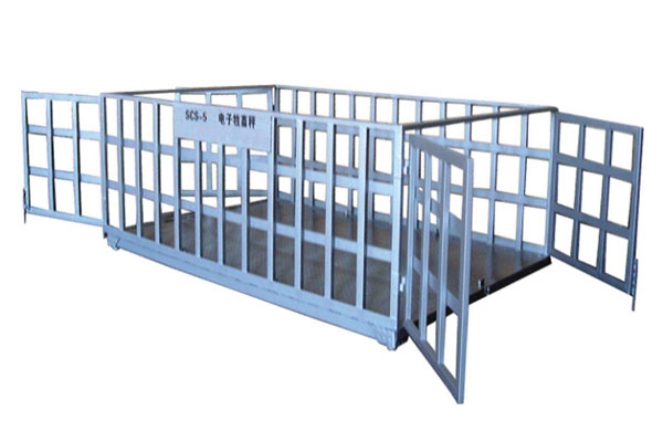 5���i�\��